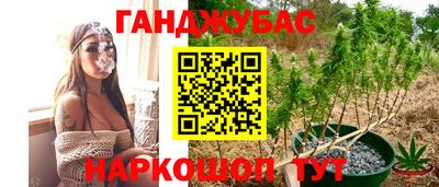 ALPHA PVP Заволжье