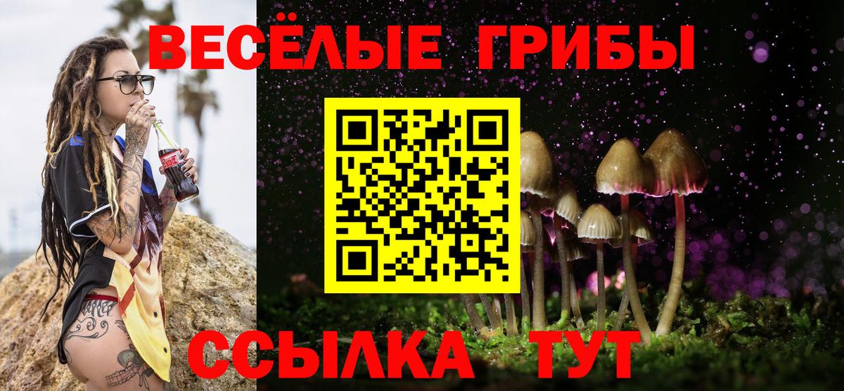 Красноярск  Псилоцибиновые грибы GOLDEN TEACHER  Вход с VPN  Псилоцибиновые грибы Magic Shrooms 